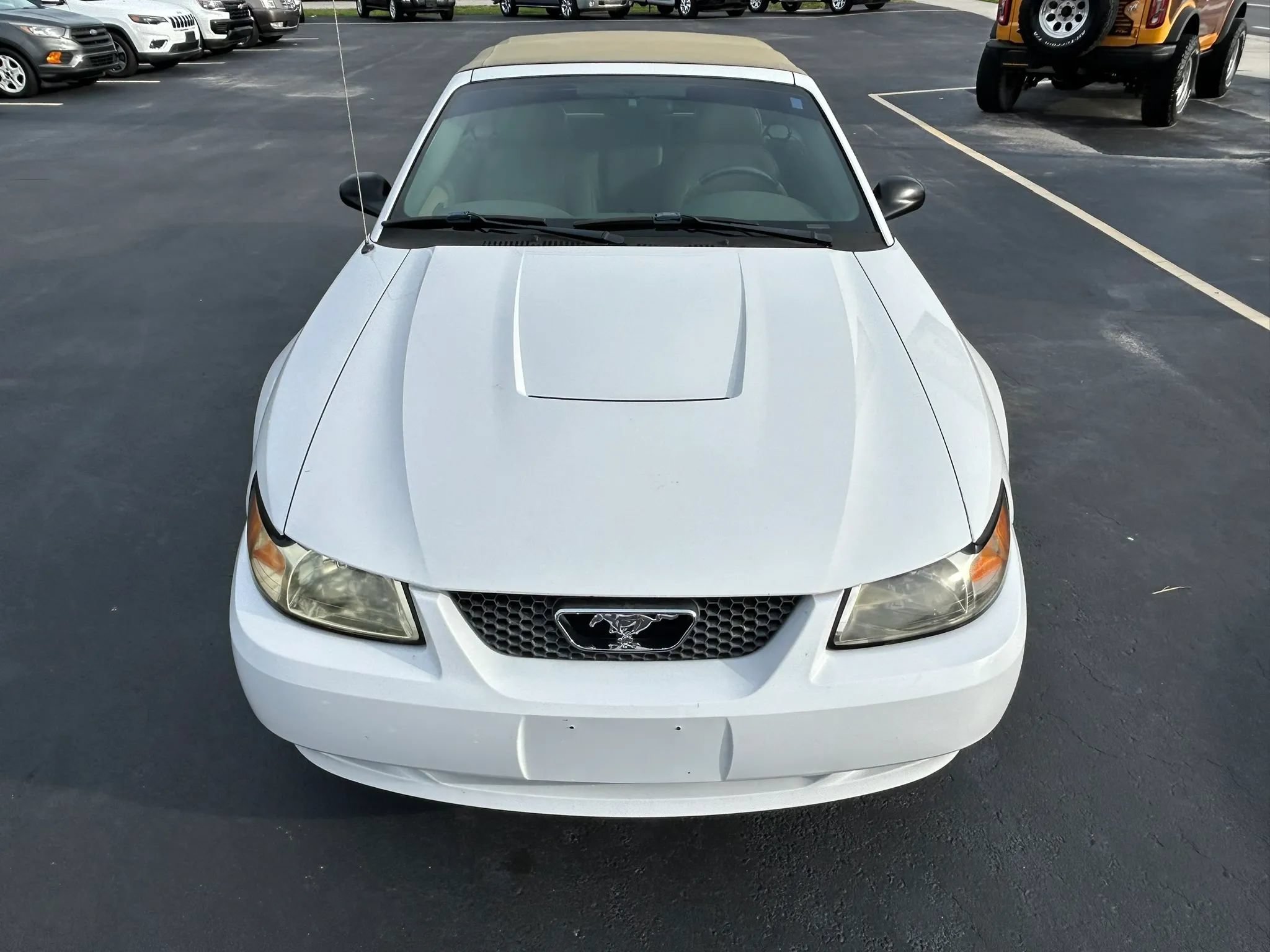 Used 2004 Ford Mustang Convertible RWD image 22