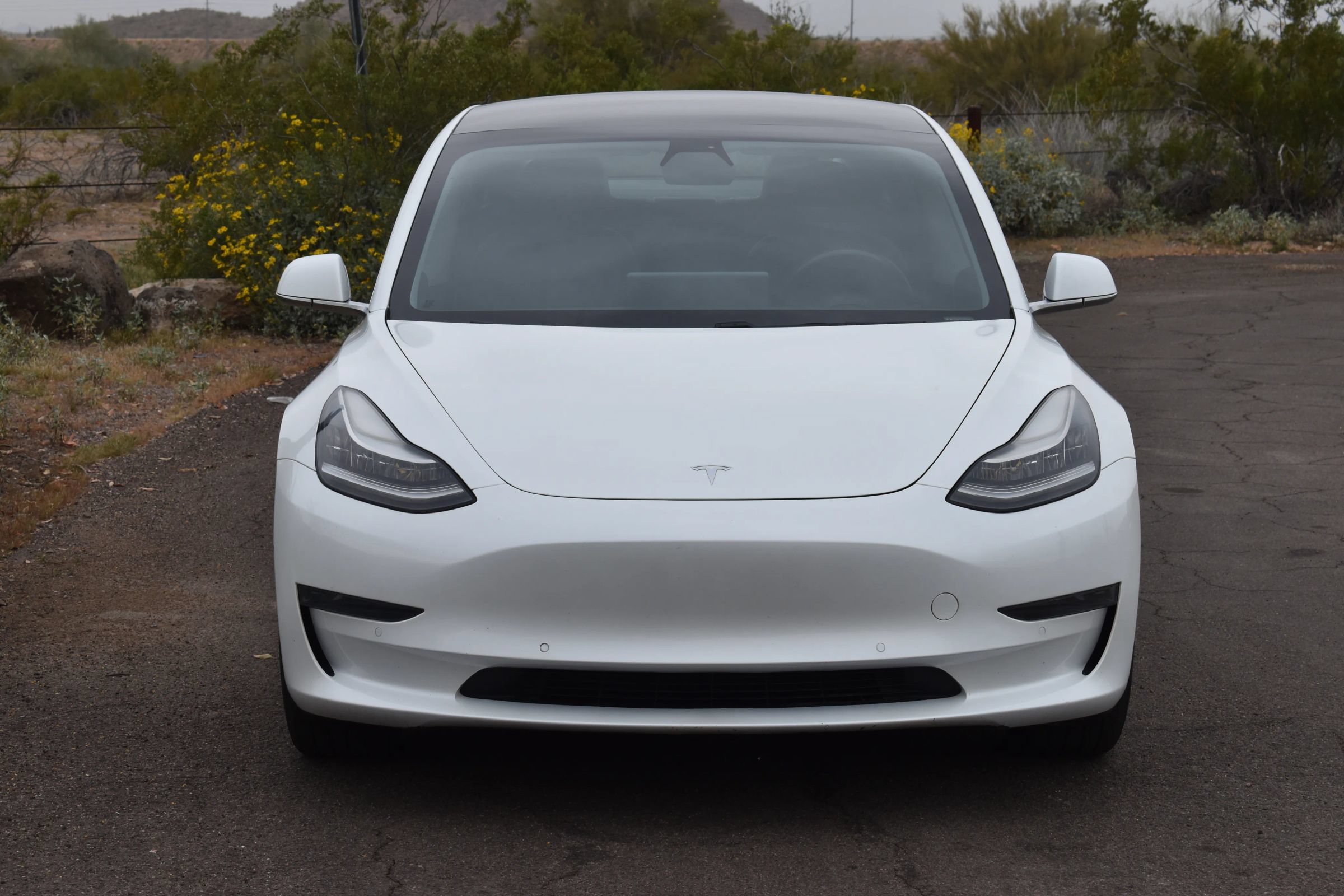 Used 2020 Tesla Model 3 Long Range AWD/4WD image 2