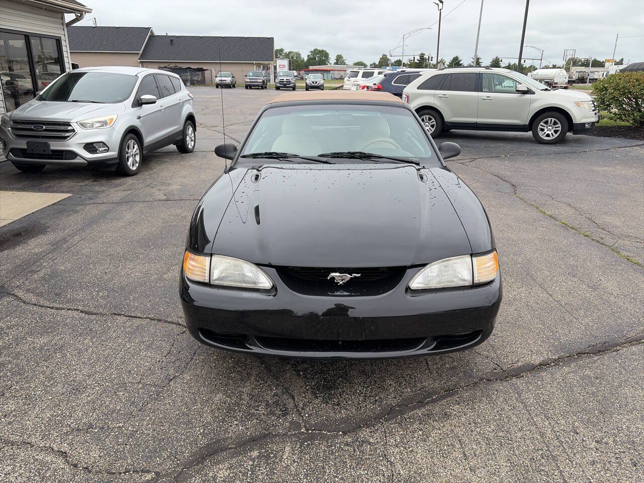 Used 1995 Ford Mustang GT RWD image 3