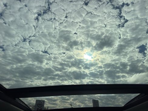 Used 2023 Honda Pilot Elite image 9