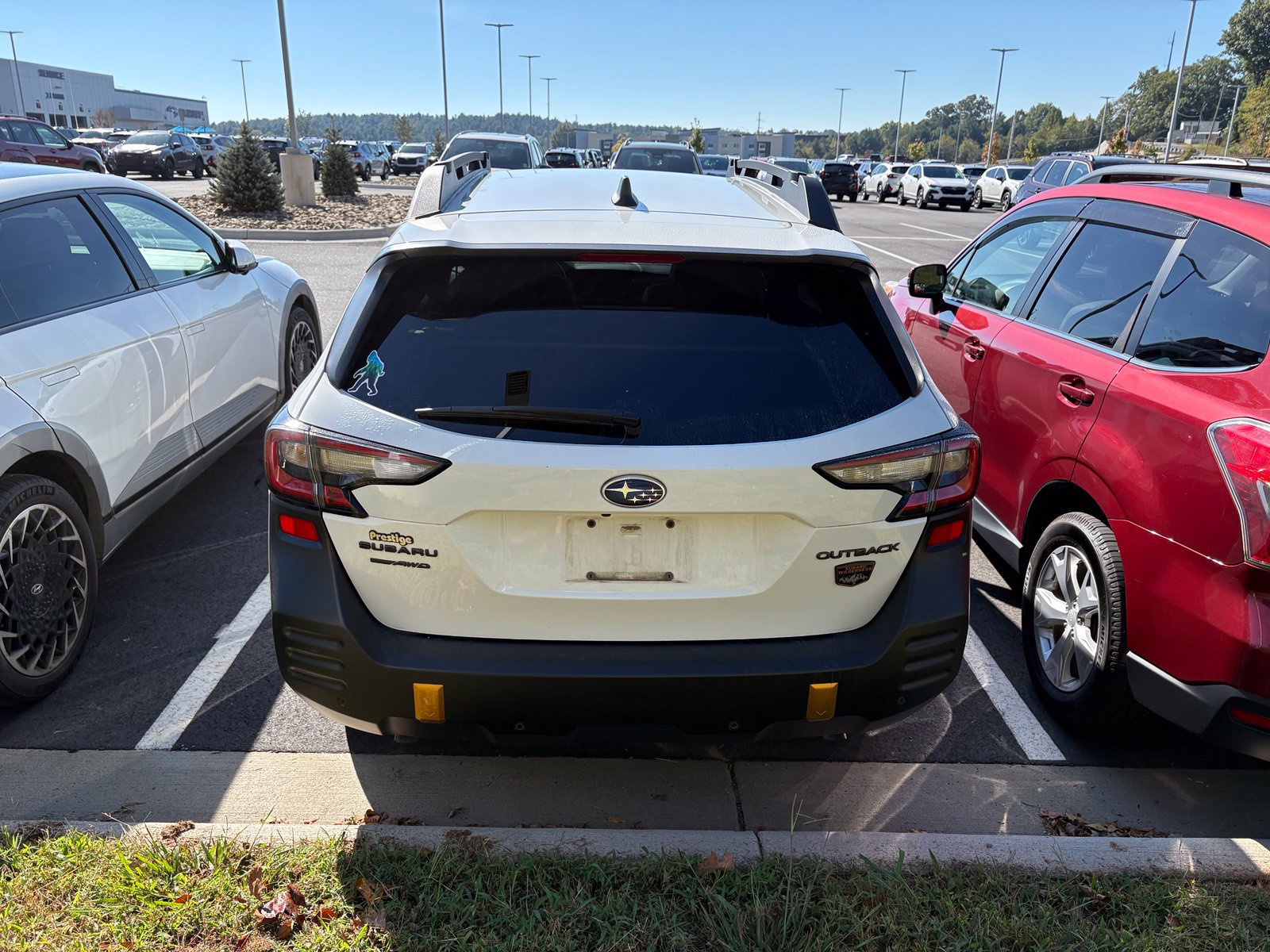Used 2025 Subaru Outback Wilderness AWD/4WD image 5
