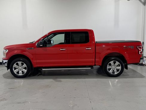 Used 2019 Ford F150 XLT w/ Equipment Group 302A Luxury AWD/4WD image 13
