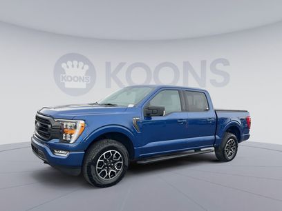 Used 2023 Ford F150 XLT w/ Equipment Group 302A High