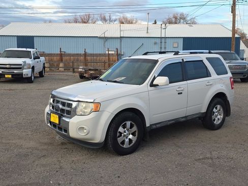Used 2009 Ford Escape Limited image 4