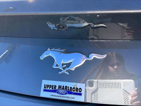 New 2026 Ford Mustang Coupe image 12