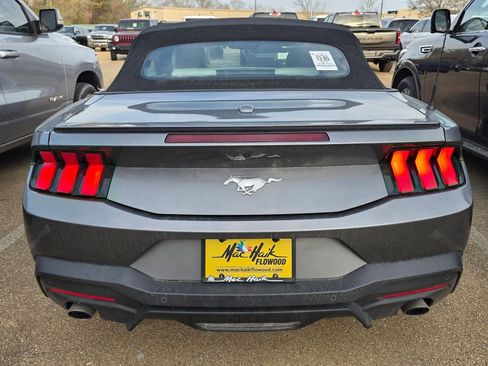 Used 2024 Ford Mustang Premium image 8