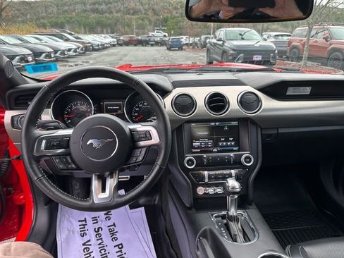 Used 2015 Ford Mustang GT Premium w/ Equipment Group 401A image 13