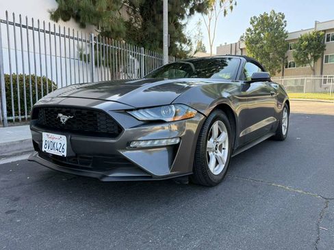 Used 2019 Ford Mustang Convertible RWD image 1