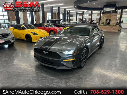 Used 2019 Ford Mustang Convertible w/ Equipment Group 101A image 1