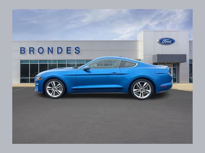 Used 2019 Ford Mustang Premium w/ Equipment Group 201A