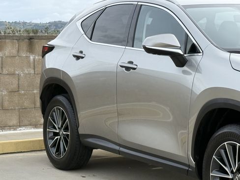 Certified 2025 Lexus NX 350h AWD w/ Premium Package image 5