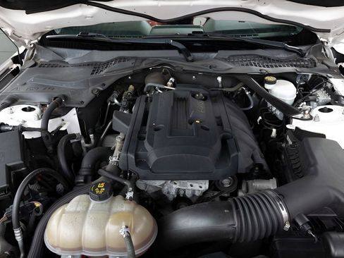 Used 2017 Ford Mustang Premium w/ Equipment Group 201A RWD image 71