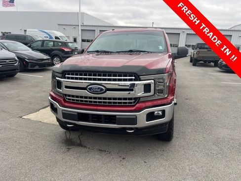 Used 2018 Ford F150 XLT w/ Equipment Group 302A Luxury image 5