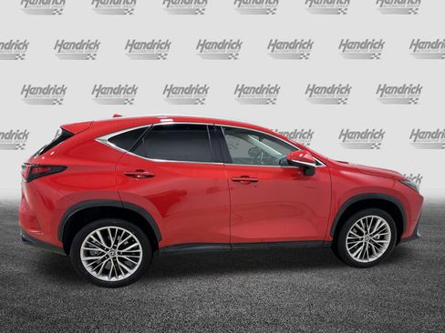 Used 2025 Lexus NX 350h AWD w/ Cold Area Package image 11