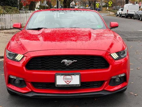 Used 2017 Ford Mustang Premium image 4