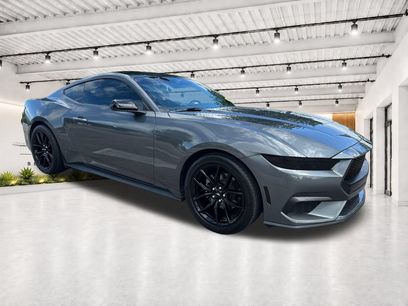 Used 2024 Ford Mustang Premium w/ Mustang Nite Pony Package