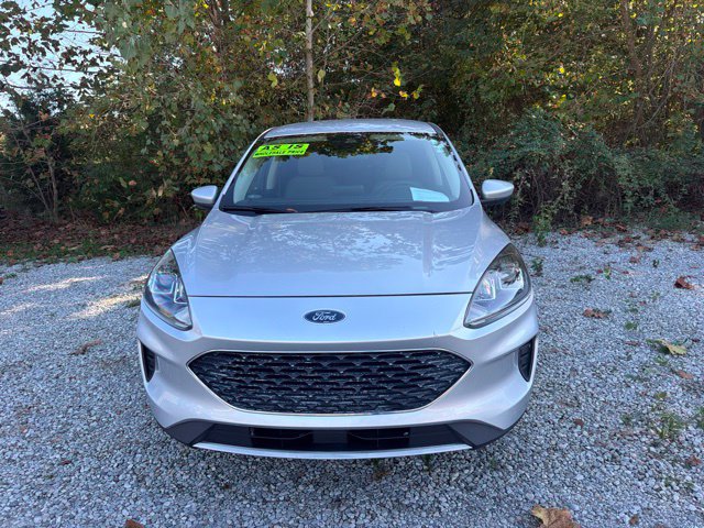 Used 2020 Ford Escape SE AWD/4WD image 4