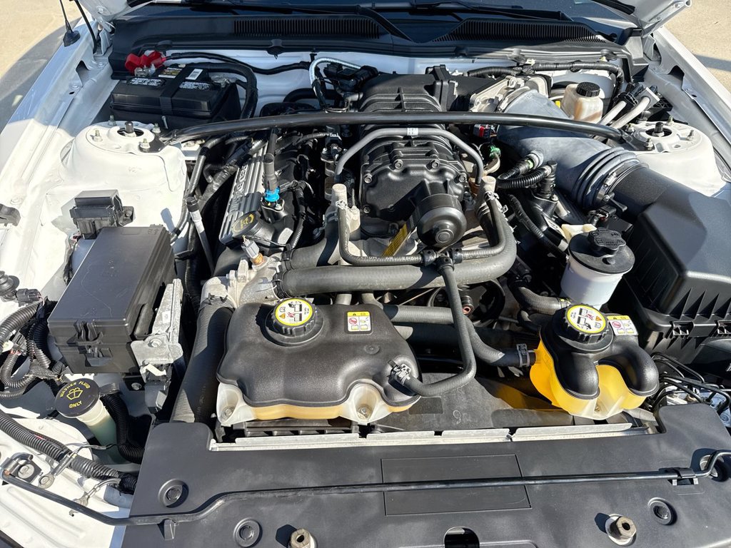 Used 2009 Ford Mustang Shelby GT500 RWD image 25