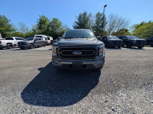 Used 2023 Ford F150 XLT w/ Equipment Group 302A High AWD/4WD image 11