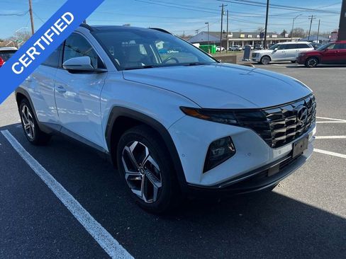 Used 2024 Hyundai Tucson Limited image 1