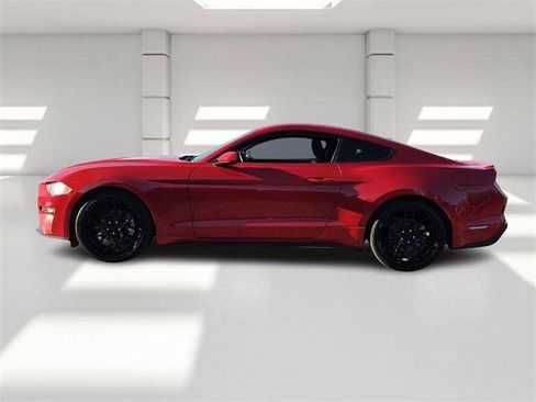 Used 2019 Ford Mustang Coupe w/ Equipment Group 101A image 2