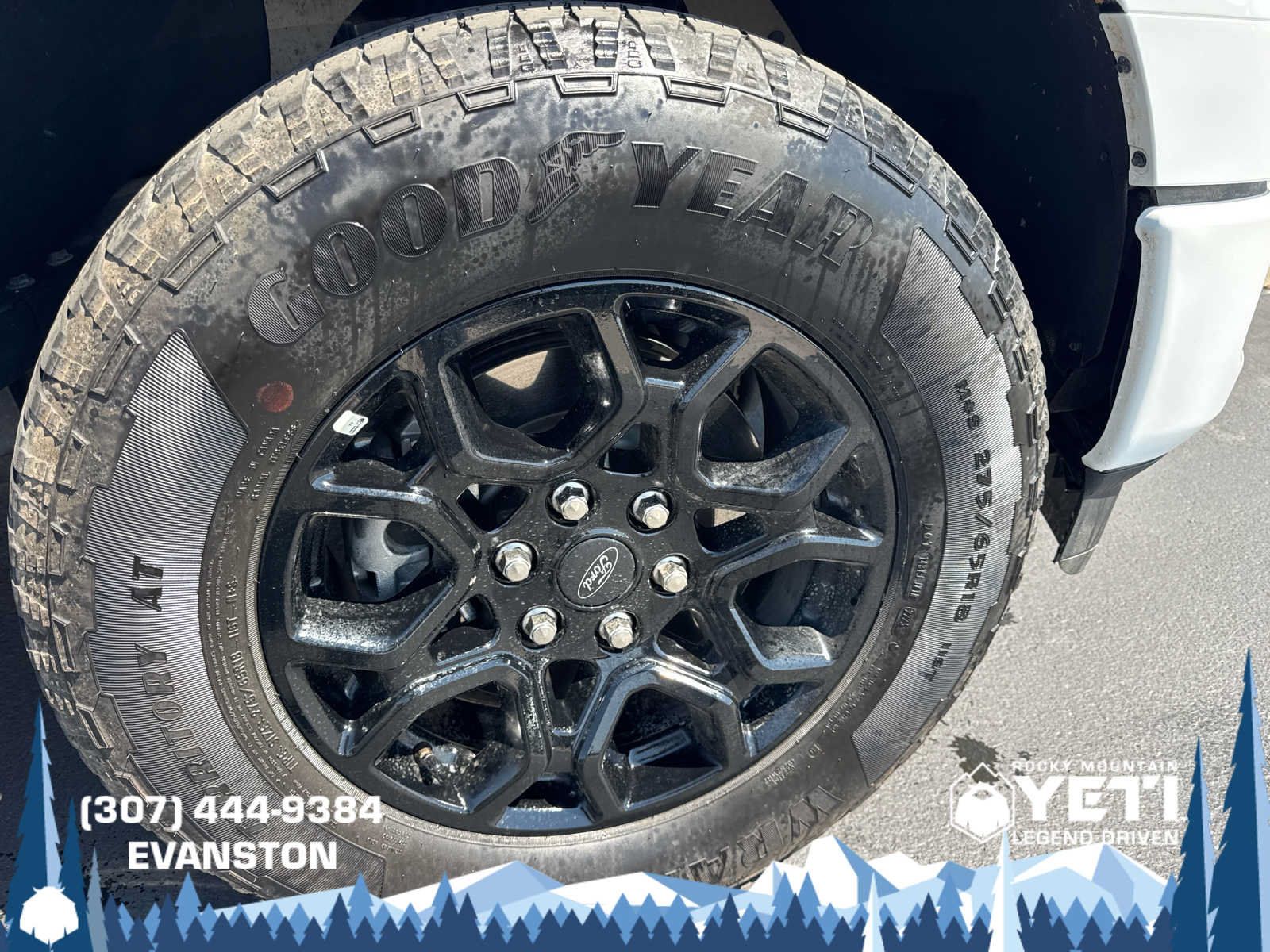 Used 2025 Ford F150 XLT w/ Equipment Group 301A Standard AWD/4WD image 9