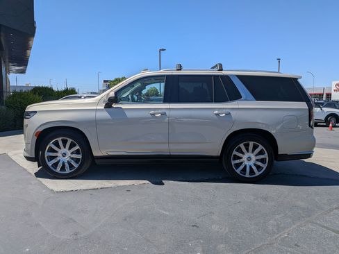 Used 2021 Cadillac Escalade Premium Luxury Platinum AWD/4WD image 8