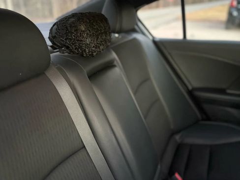 Used 2017 Honda Accord Sport image 35