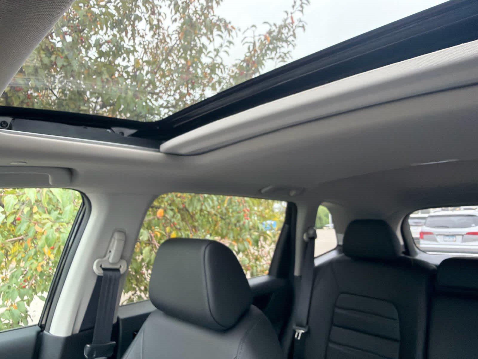 Certified 2026 Honda CR-V EX-L image 4