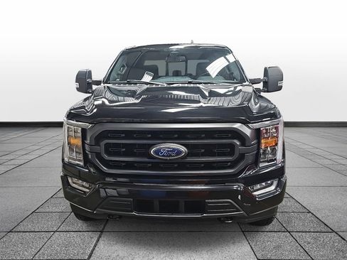 Used 2023 Ford F150 XLT w/ Equipment Group 302A High image 2