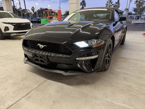 Used 2023 Ford Mustang Premium image 2