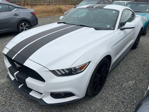 Used 2016 Ford Mustang Premium w/ Ecoboost Performance Package RWD image 1