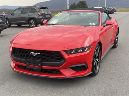 Used 2025 Ford Mustang Premium image 8