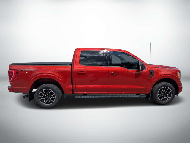 Used 2023 Ford F150 XLT w/ Equipment Group 302A High RWD image 3