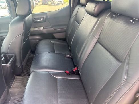 Used 2021 Toyota Tacoma TRD Sport w/ TRD Premium Sport Package image 12