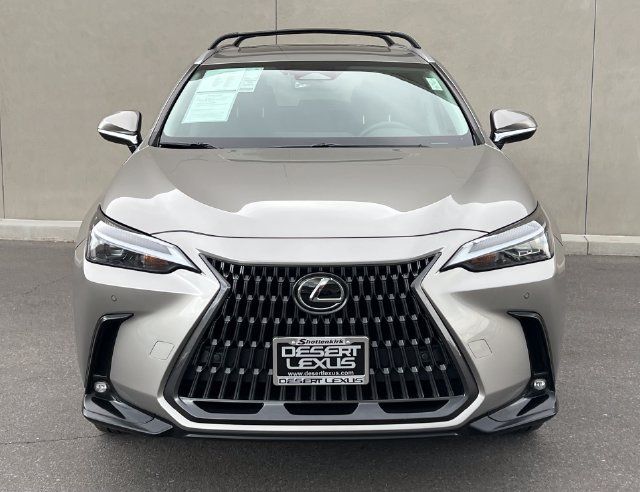 Used 2025 Lexus NX 350h AWD w/ Cold Area Package image 3