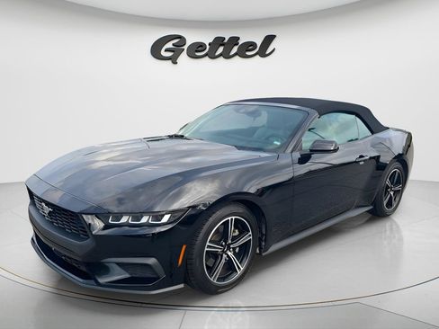 Used 2024 Ford Mustang Premium RWD image 1