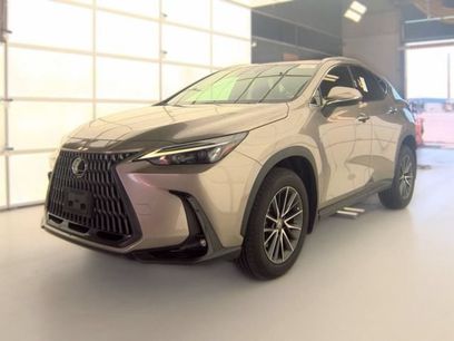 Used 2023 Lexus NX 350 AWD w/ Cold Area Package