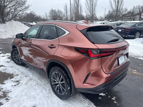 Certified 2025 Lexus NX 350 AWD w/ Cold Area Package image 5