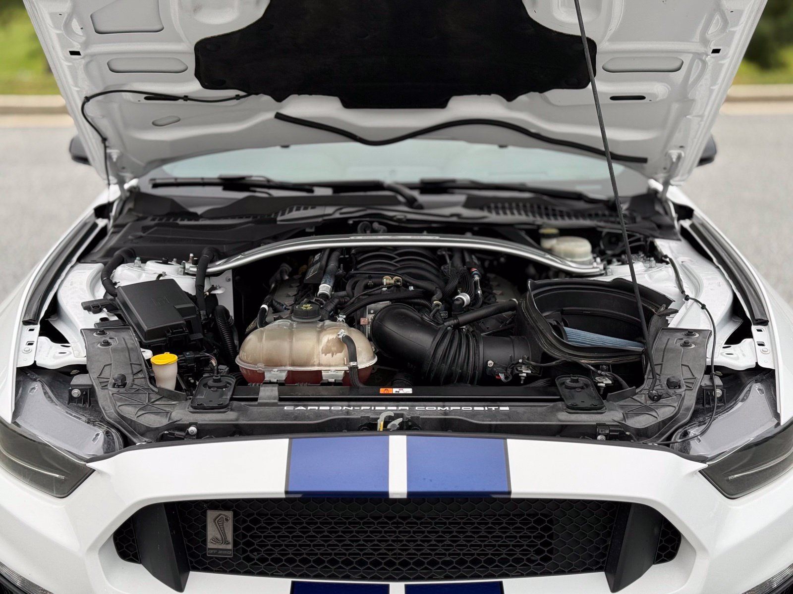 Used 2016 Ford Mustang Shelby GT350 w/ Technology Package RWD image 44