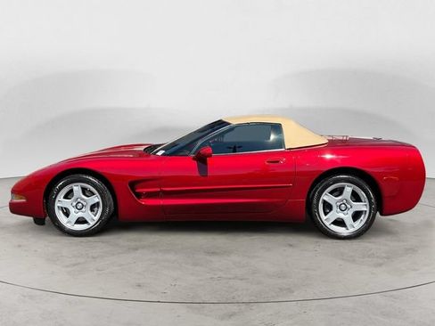 Used 1999 Chevrolet Corvette Convertible RWD image 2