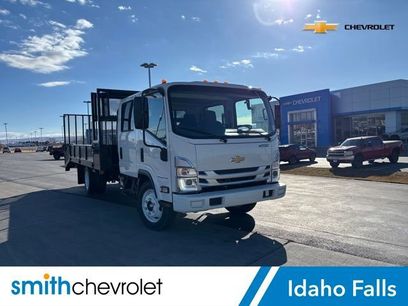New 2025 Chevrolet Low Cab Forward