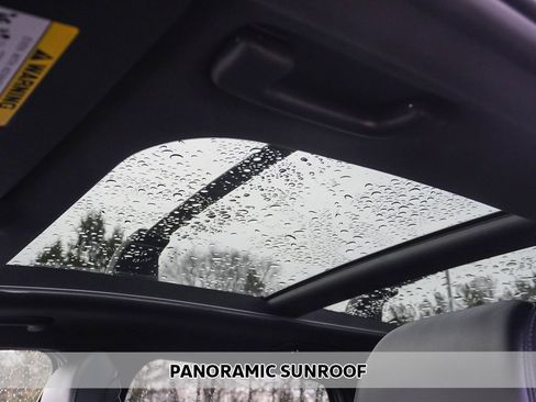 Used 2023 Kia Sportage X-Line w/ X-Line Premium Package image 4