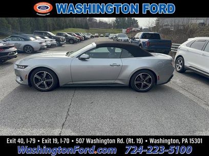 Used 2024 Ford Mustang Premium