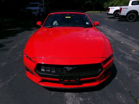 Used 2024 Ford Mustang Premium RWD image 4