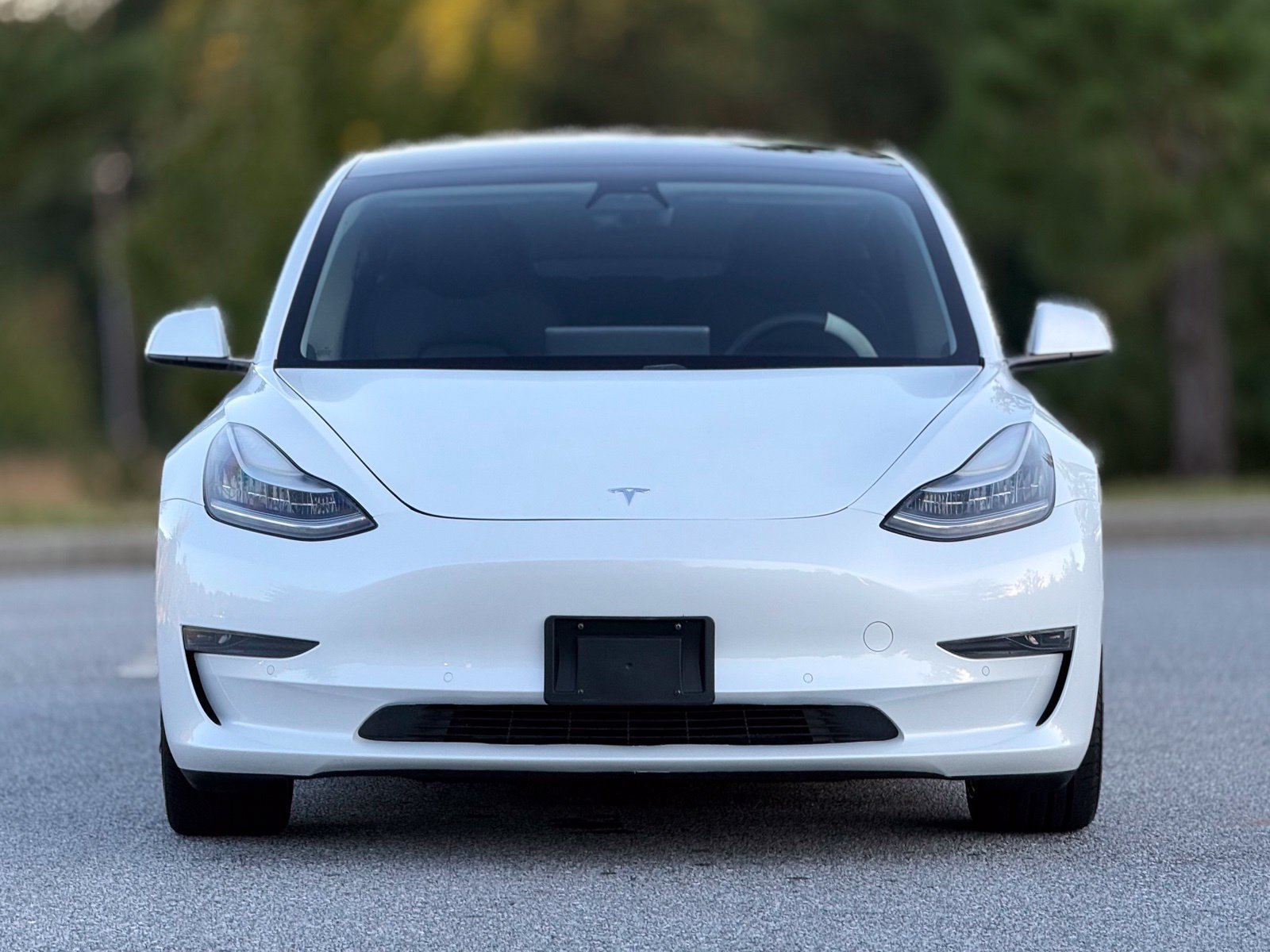 Used 2021 Tesla Model 3 Standard Range Plus RWD image 3