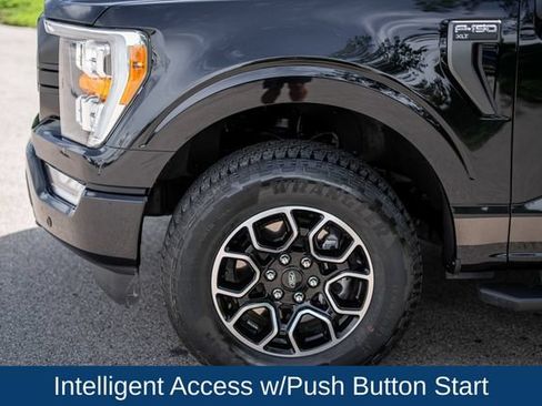 Used 2023 Ford F150 XLT w/ Equipment Group 302A High AWD/4WD image 10