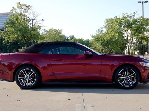 Used 2017 Ford Mustang Premium image 12