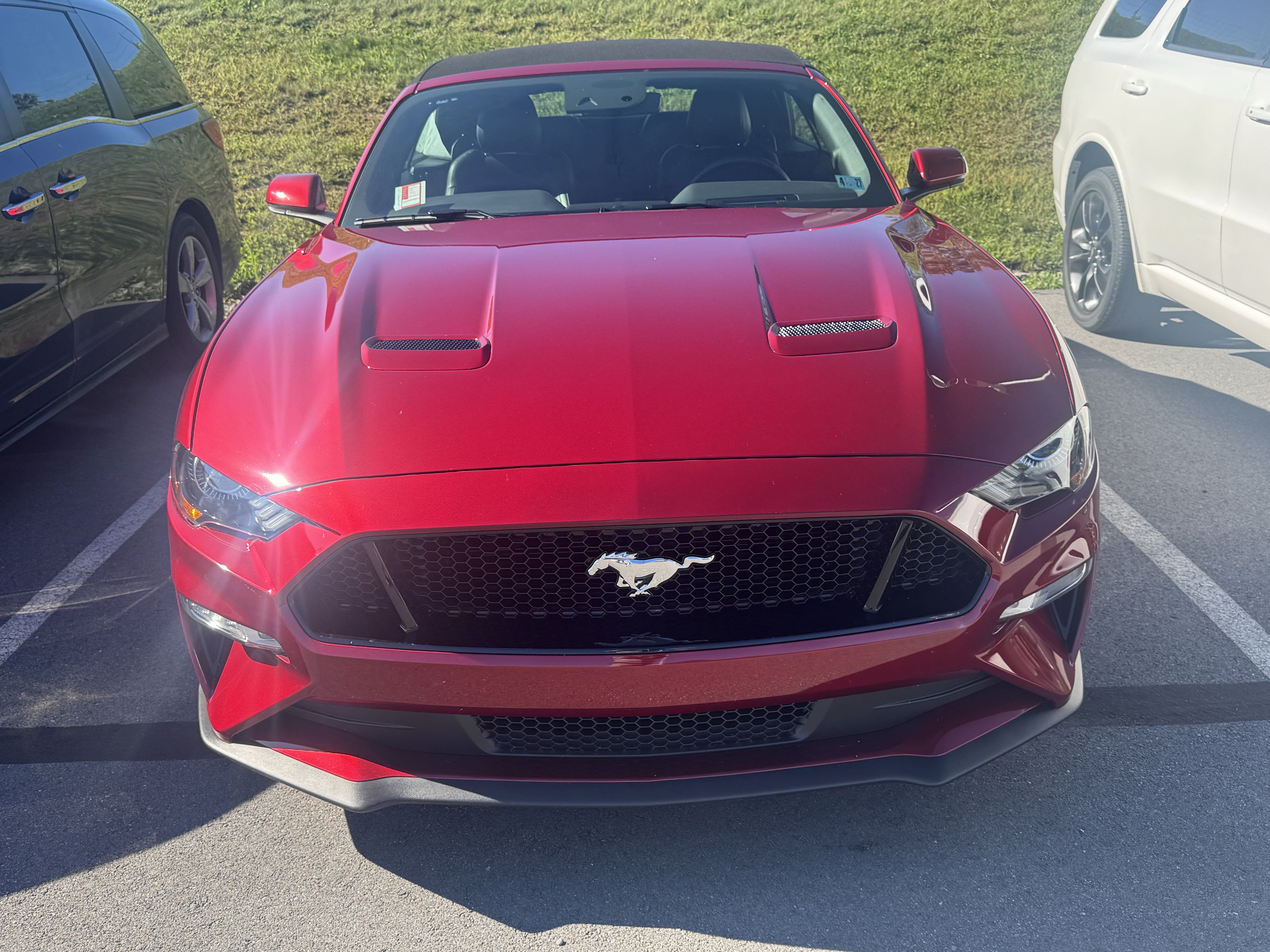 Used 2019 Ford Mustang GT Premium w/ Equipment Group 401A RWD image 2