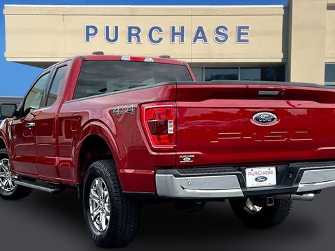Used 2021 Ford F150 XLT w/ Equipment Group 302A High AWD/4WD image 4